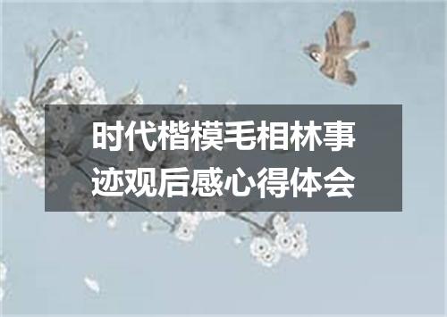 时代楷模毛相林事迹观后感心得体会