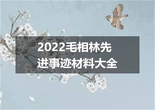 2022毛相林先进事迹材料大全