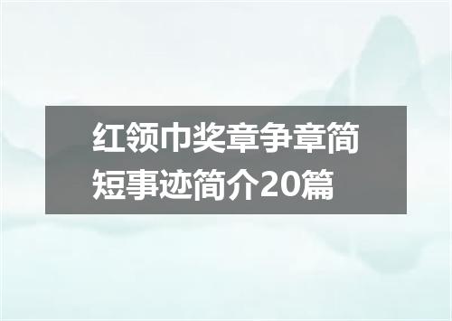 红领巾奖章争章简短事迹简介20篇