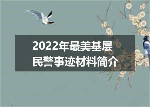 2022年最美基层民警事迹材料简介