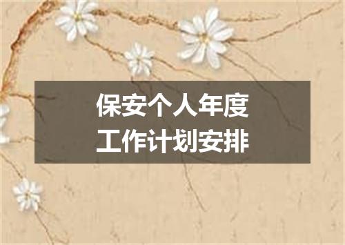 保安个人年度工作计划安排