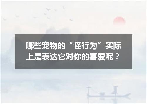 哪些宠物的“怪行为”实际上是表达它对你的喜爱呢？