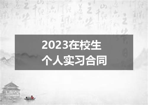 2023在校生个人实习合同