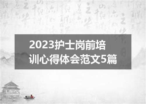 2023护士岗前培训心得体会范文5篇
