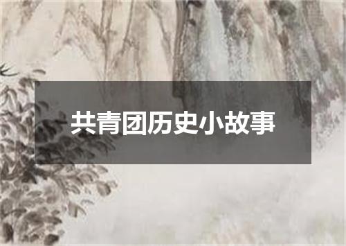 共青团历史小故事