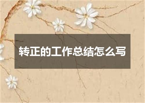 转正的工作总结怎么写