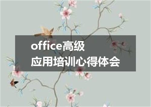 office高级应用培训心得体会