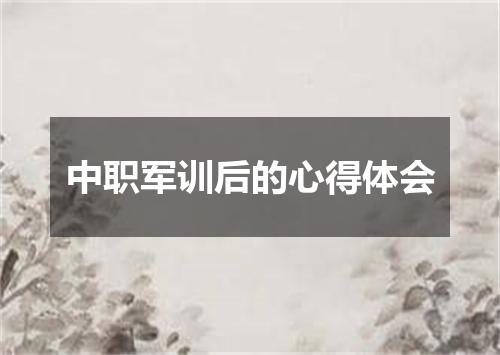 中职军训后的心得体会