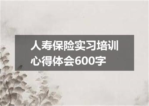 人寿保险实习培训心得体会600字