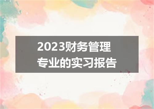 2023财务管理专业的实习报告