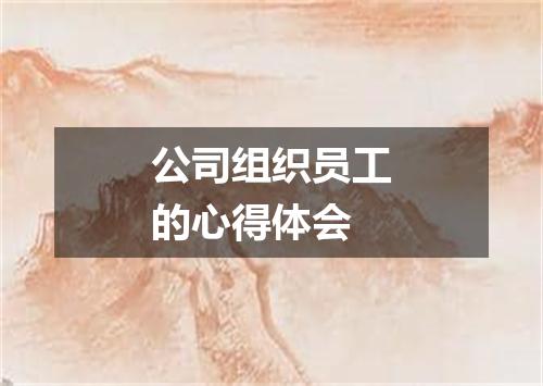 公司组织员工的心得体会