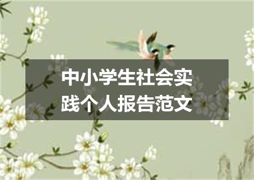 中小学生社会实践个人报告范文