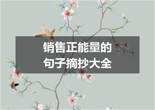 销售正能量的句子摘抄大全