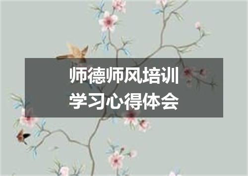 师德师风培训学习心得体会