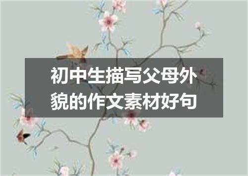 初中生描写父母外貌的作文素材好句