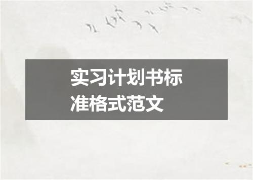 实习计划书标准格式范文