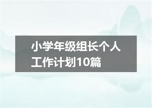 小学年级组长个人工作计划10篇