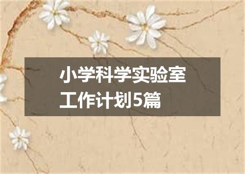 小学科学实验室工作计划5篇