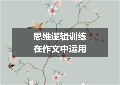 思维逻辑训练在作文中运用