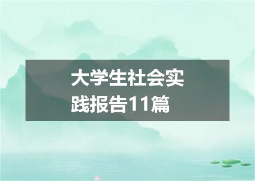 大学生社会实践报告11篇