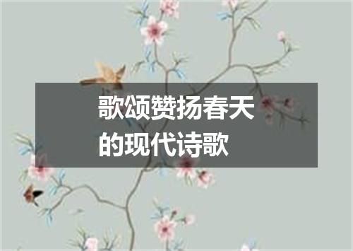 歌颂赞扬春天的现代诗歌