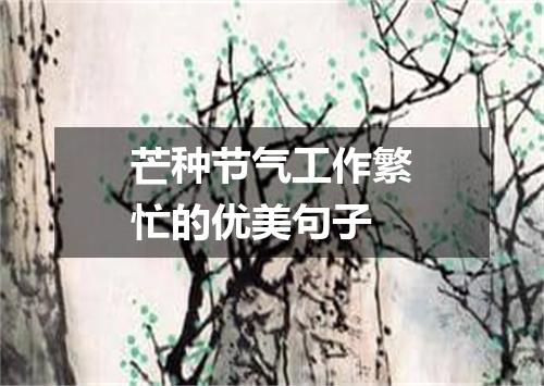芒种节气工作繁忙的优美句子