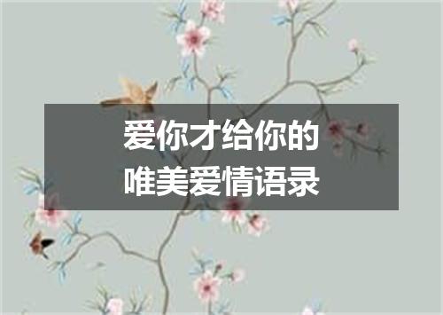 爱你才给你的唯美爱情语录