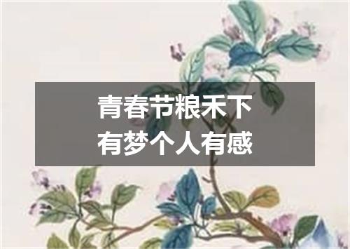 青春节粮禾下有梦个人有感