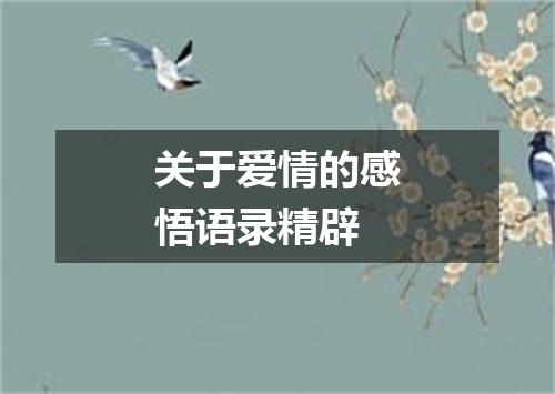 关于爱情的感悟语录精辟
