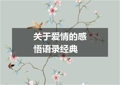 关于爱情的感悟语录经典