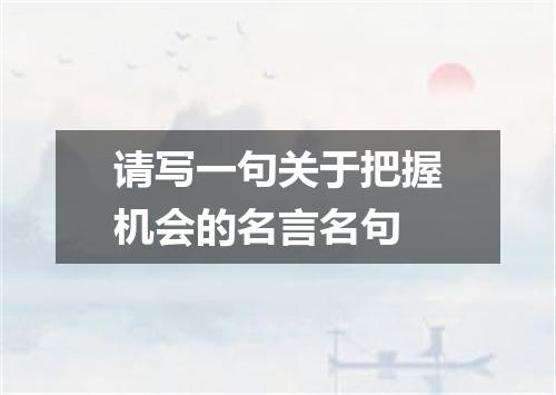请写一句关于把握机会的名言名句