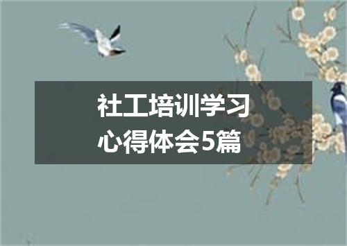 社工培训学习心得体会5篇
