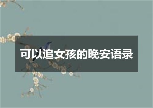 可以追女孩的晚安语录