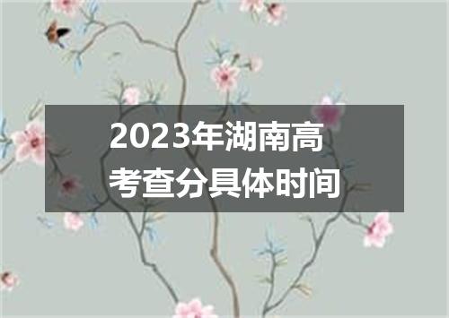 2023年湖南高考查分具体时间