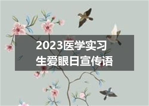 2023医学实习生爱眼日宣传语