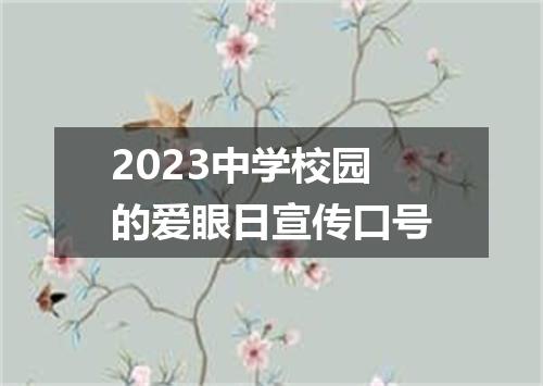 2023中学校园的爱眼日宣传口号