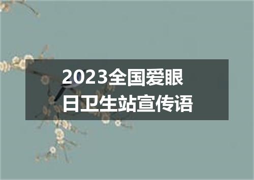 2023全国爱眼日卫生站宣传语