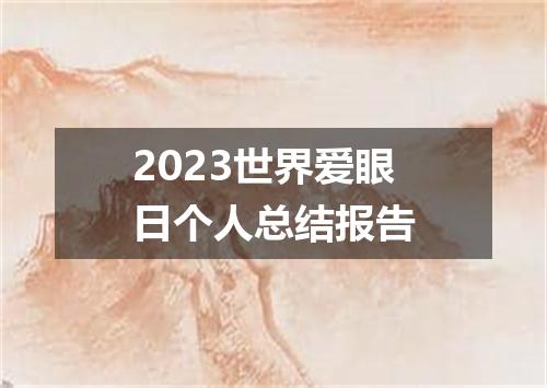 2023世界爱眼日个人总结报告