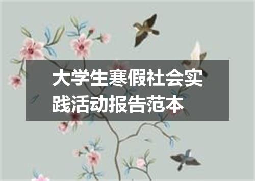 大学生寒假社会实践活动报告范本