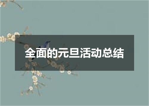 全面的元旦活动总结