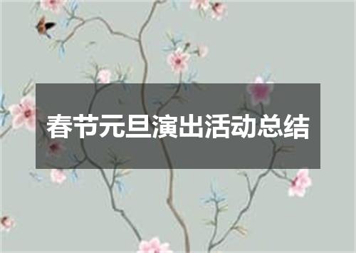 春节元旦演出活动总结