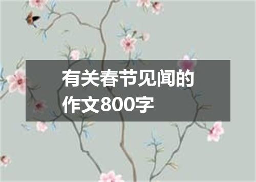 有关春节见闻的作文800字