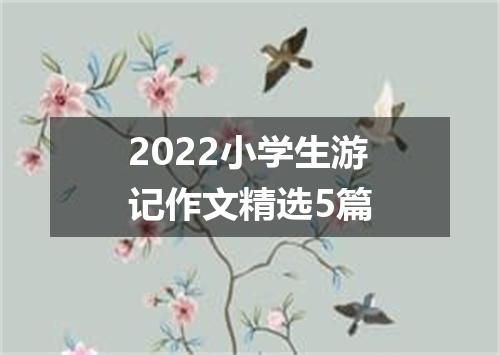 2022小学生游记作文精选5篇