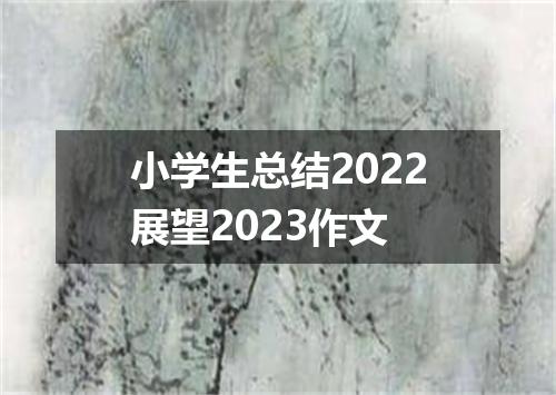 小学生总结2022展望2023作文