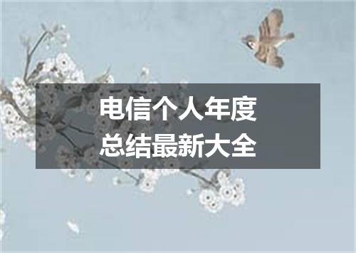 电信个人年度总结最新大全