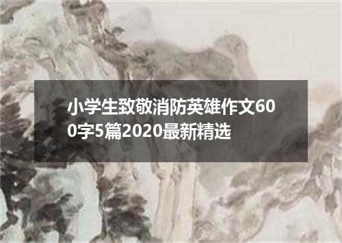 小学生致敬消防英雄作文600字5篇2020最新精选