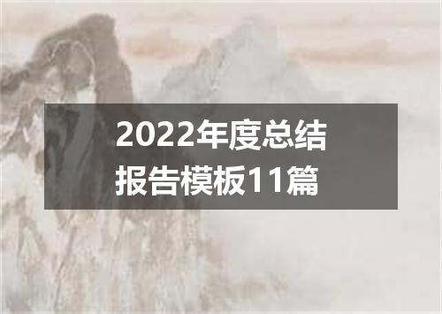 2022年度总结报告模板11篇