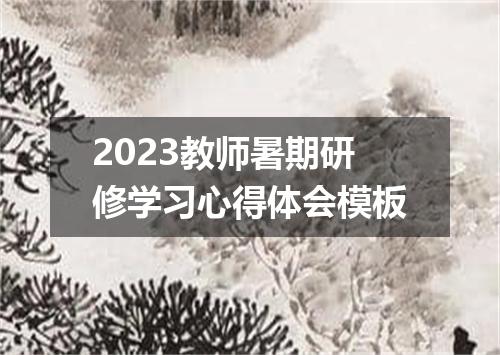 2023教师暑期研修学习心得体会模板