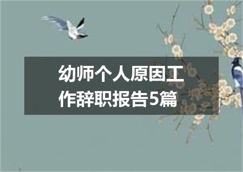 幼师个人原因工作辞职报告5篇