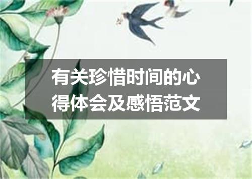 有关珍惜时间的心得体会及感悟范文